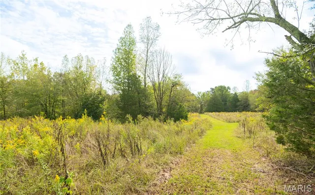 $515,000 | 875 Ripley 142e-38, Naylor, MO 63953