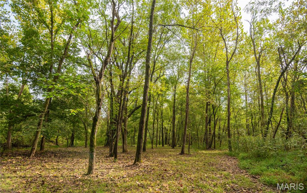 875 Ripley 142e-38 Naylor, MO 63953 - Photo 50 of 54