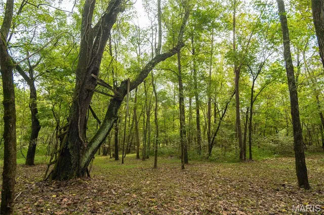 $515,000 | 875 Ripley 142e-38, Naylor, MO 63953