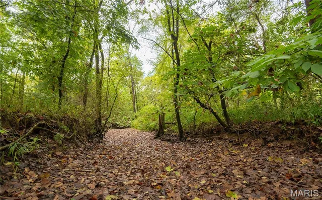 $515,000 | 875 Ripley 142e-38, Naylor, MO 63953