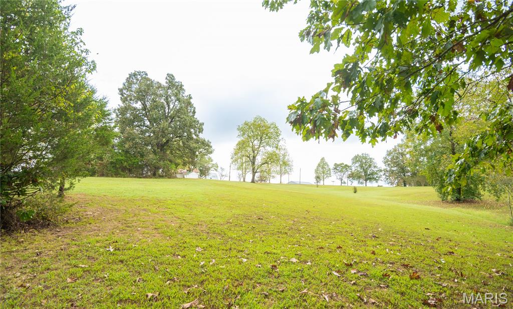 875 Ripley 142e-38 Naylor, MO 63953 - Photo 53 of 54