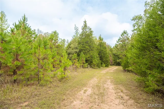 $515,000 | 875 Ripley 142e-38, Naylor, MO 63953