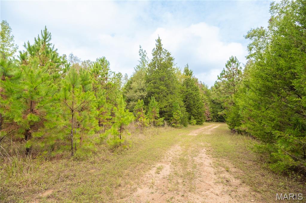 875 Ripley 142e-38 Naylor, MO 63953 - Photo 7 of 54