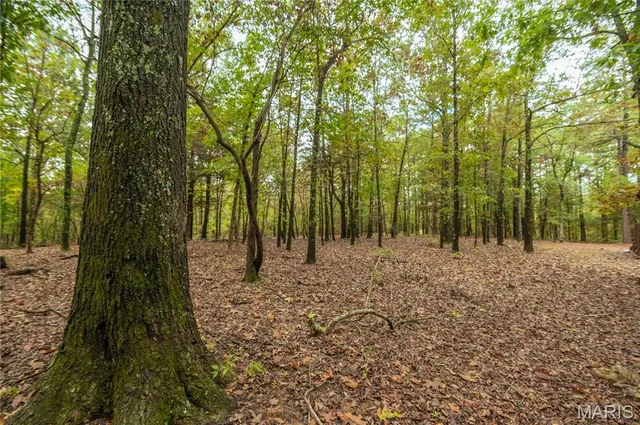 $515,000 | 875 Ripley 142e-38, Naylor, MO 63953