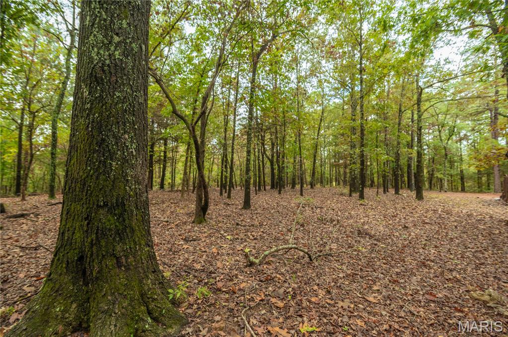 875 Ripley 142e-38 Naylor, MO 63953 - Photo 8 of 54