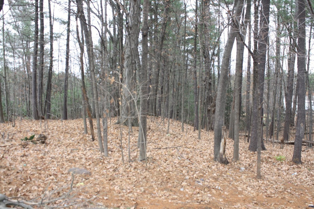 25 Country Club Road Greenfield, MA 01301 - Photo 4 of 10 Gallery Image 4