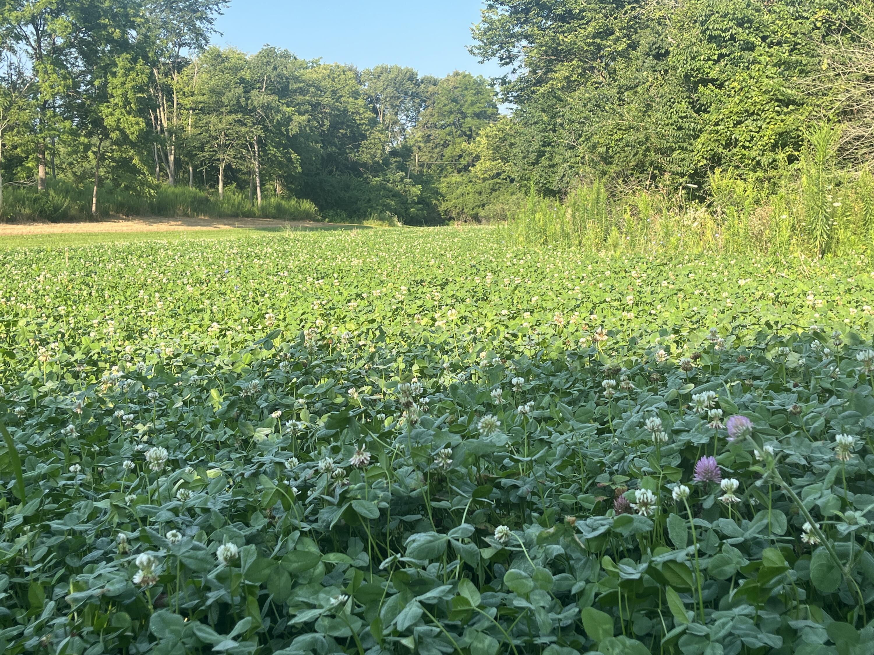 0 East Rusk Road Troy, OH 45373 - Photo 11 of 20 IMG_6318