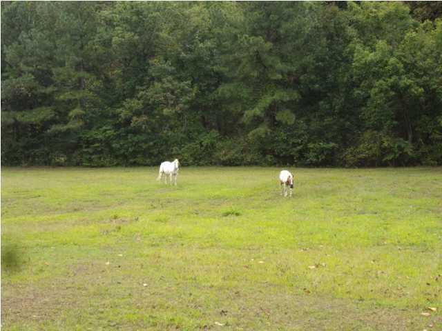 399 Tallent Road, Unit SW McDonald, TN 37353 - Photo 23 of 25 Additional Photo