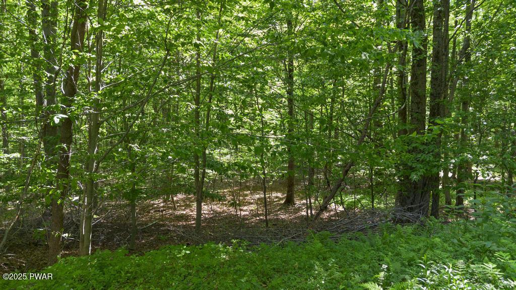 348 Racht Road Honesdale, PA 18431 - Photo 9 of 29
