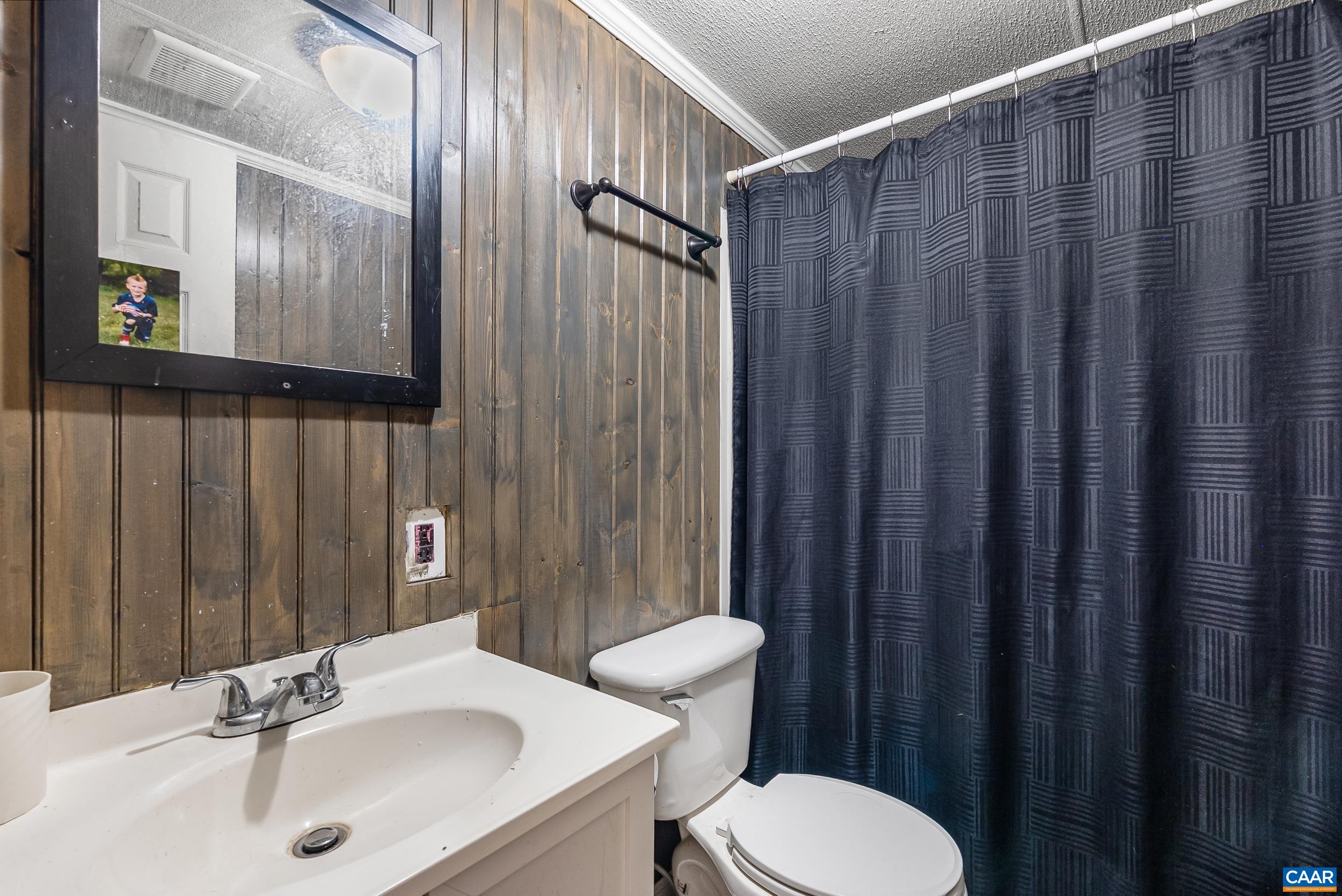 386 Cub Creek Road Appomattox, VA 24522 - Photo 20 of 44 a bathroom with a sink a toilet a mirror and shower curtain