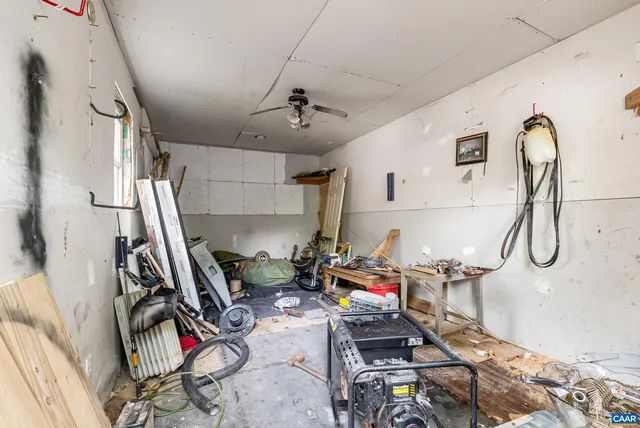 a view of a forest with trees