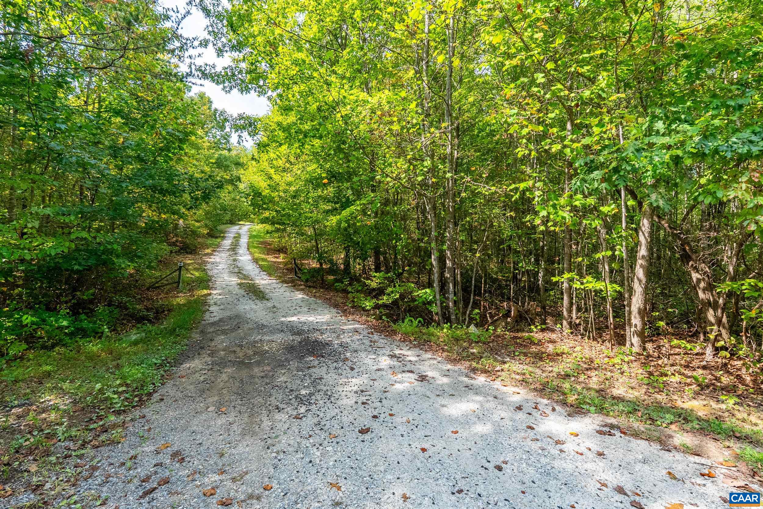 386 Cub Creek Road Appomattox, VA 24522 - Photo 24 of 44 a view of a forest with trees