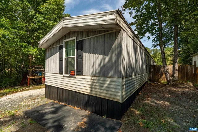 a view of a tree with a plant
