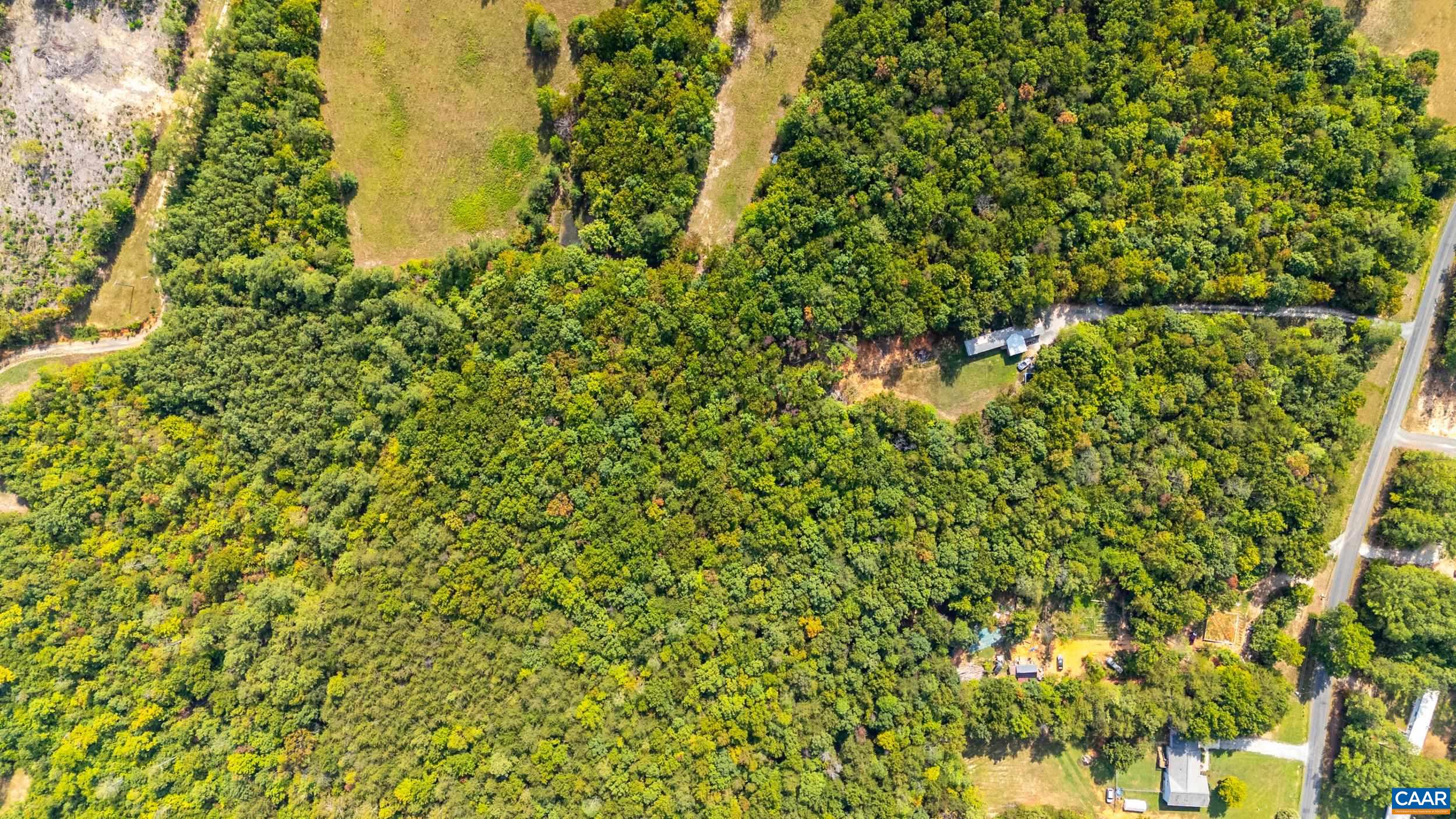 386 Cub Creek Road Appomattox, VA 24522 - Photo 40 of 44 a view of a tree with a plant