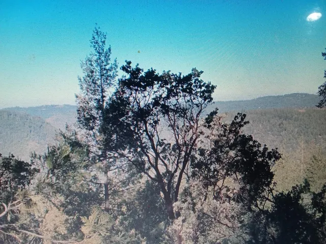 $70,000 | 13 Independence Hill Road, Colfax, CA 95713