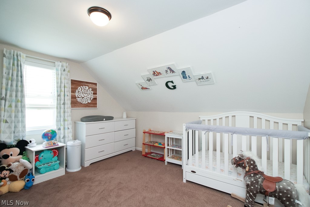 3111 Joslyn Road Cleveland, OH 44111 - Photo 21 of 32 Gallery Image 21