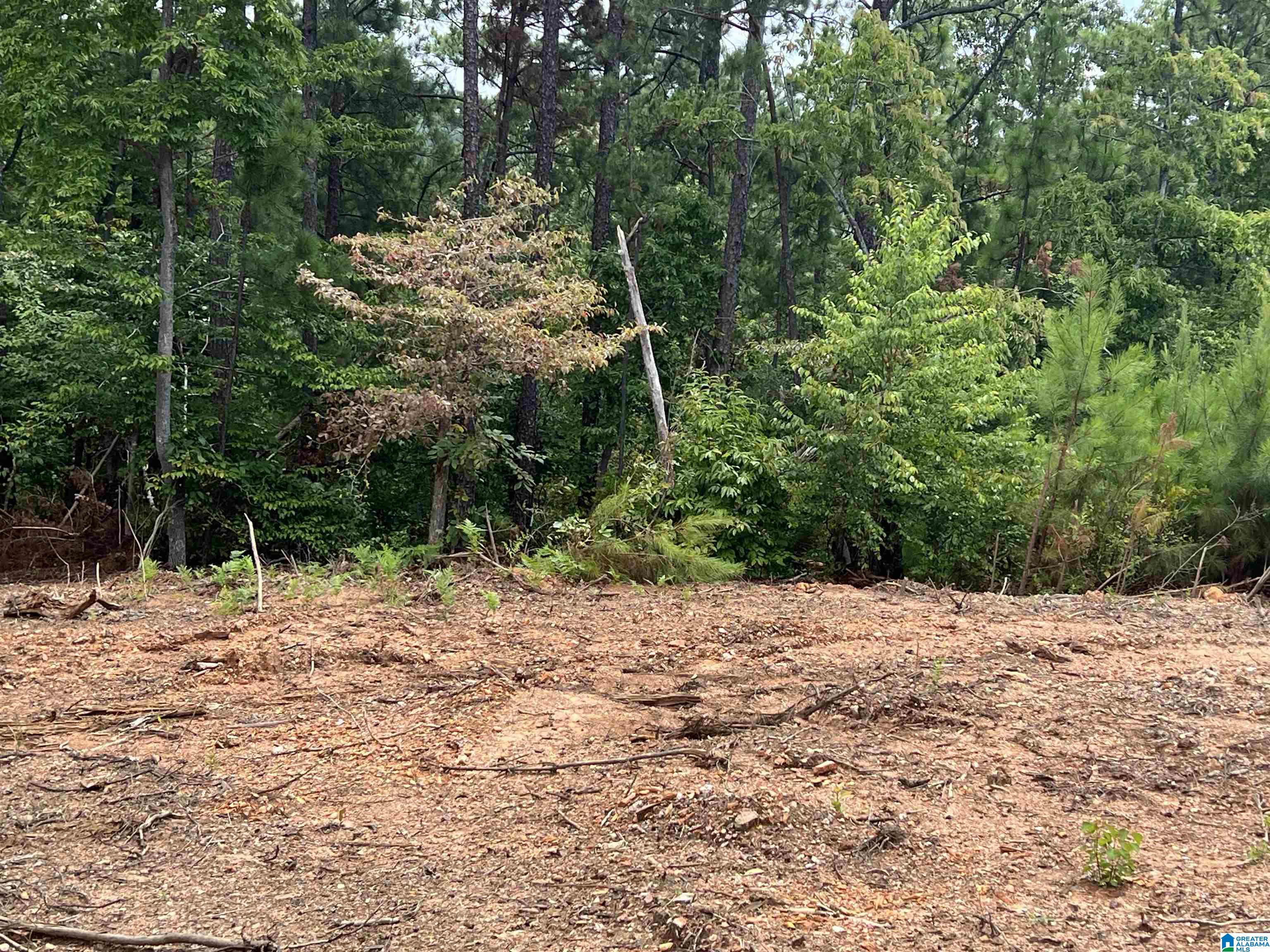 0 County Road 188 Clanton, AL 35046 - Photo 8 of 20
