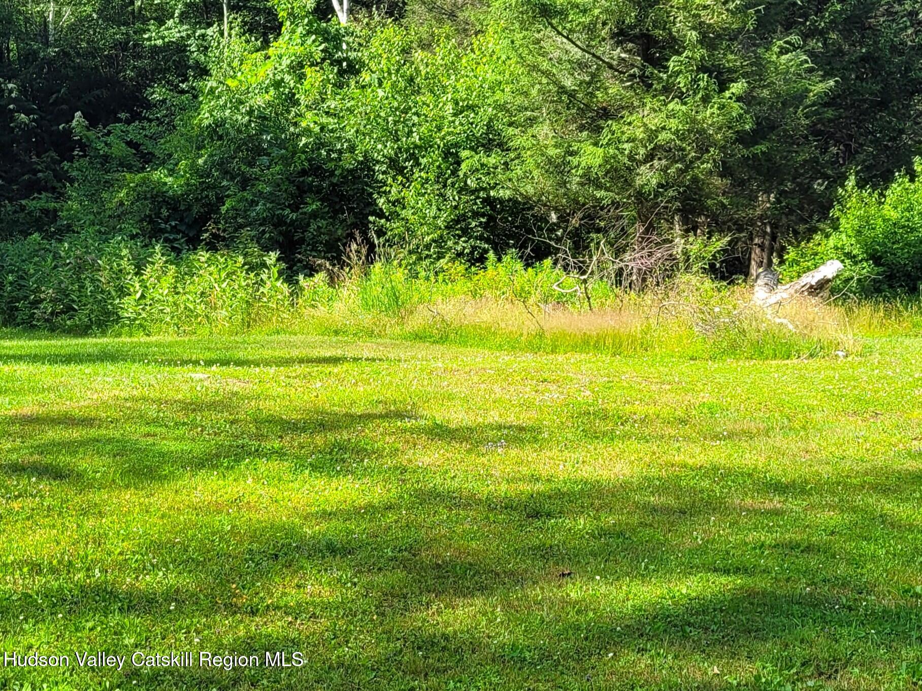 119 Brown House Road Gilboa, NY 12076 - Photo 23 of 39 20260702_162836