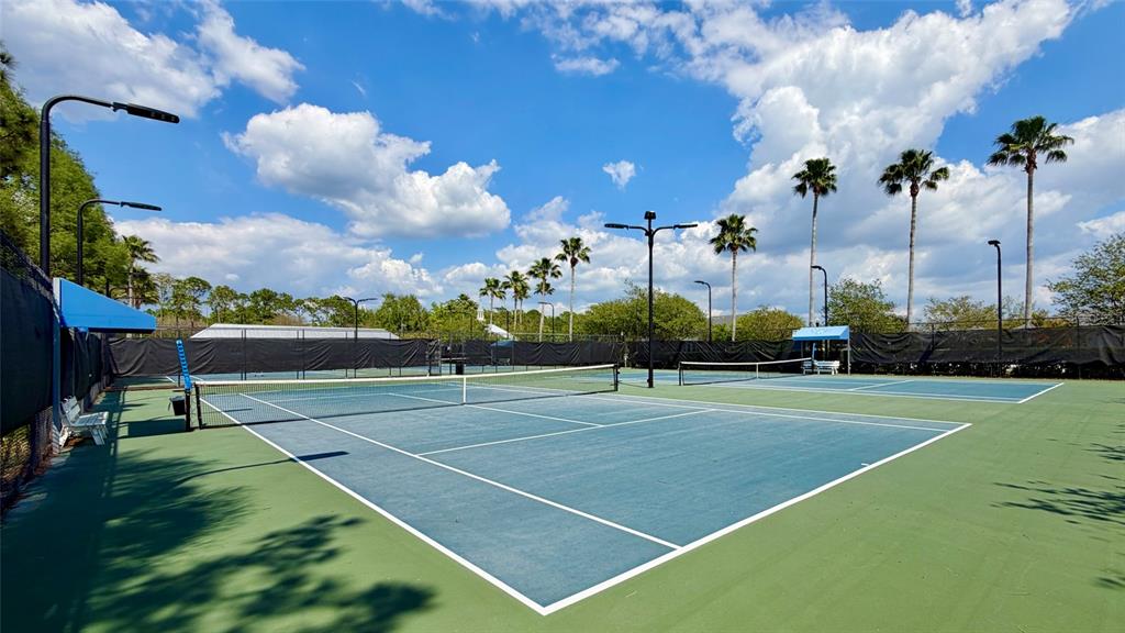 10024 New Parke Road Tampa, FL 33626 - Photo 54 of 64