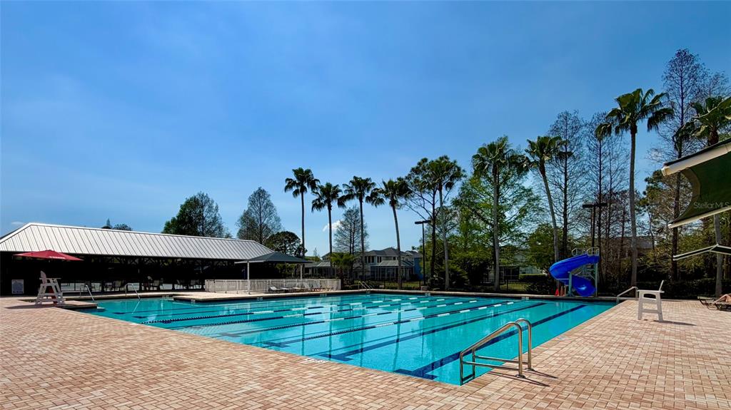 10024 New Parke Road Tampa, FL 33626 - Photo 56 of 64