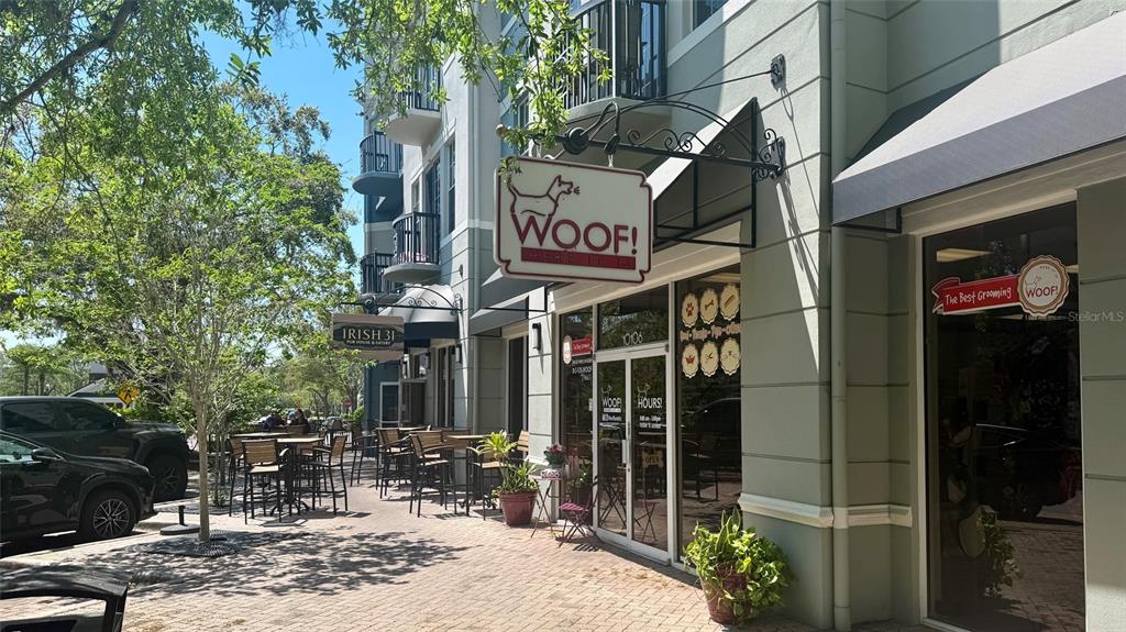 10024 New Parke Road Tampa, FL 33626 - Photo 61 of 64