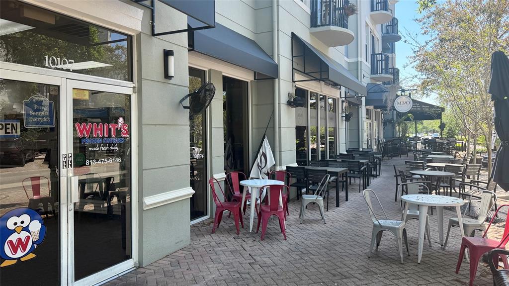 10024 New Parke Road Tampa, FL 33626 - Photo 64 of 64