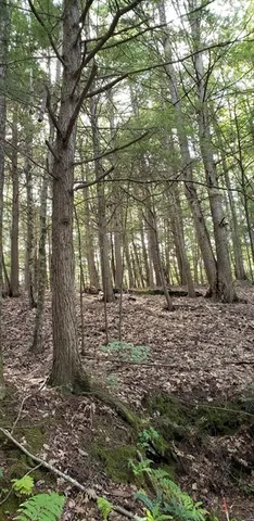 $79,900 | Lot 3 Town Hill Road, Sandisfield, MA 01255