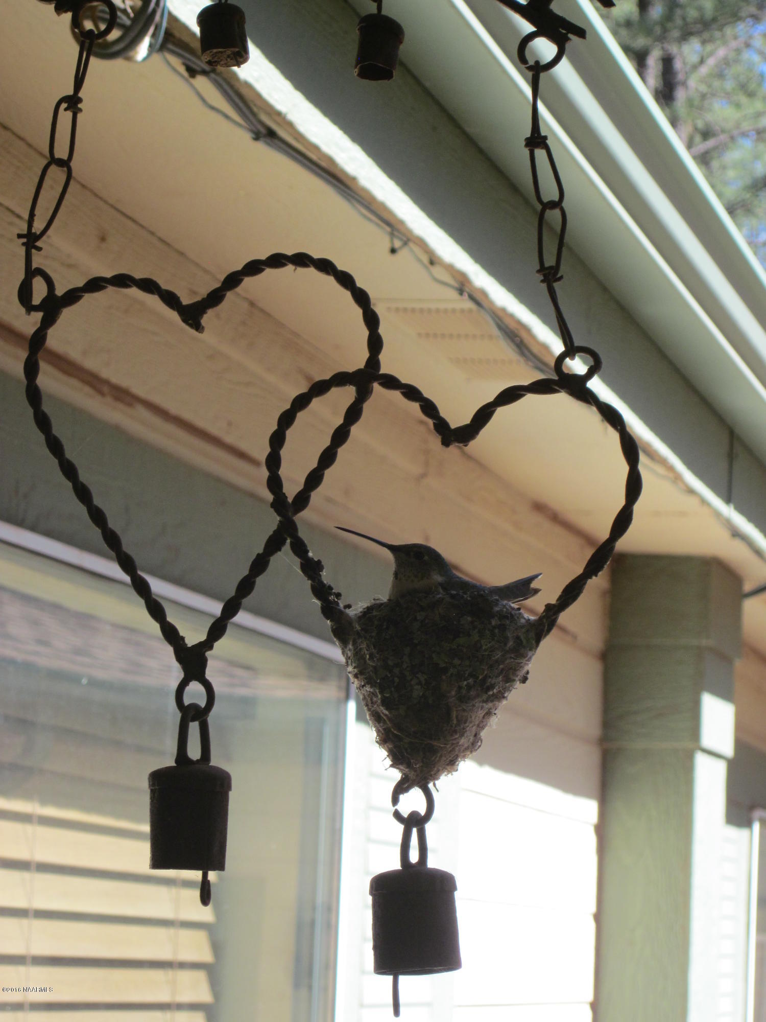 6916 North Spring Valley Road Parks, AZ 86018 - Photo 24 of 29 hummingbirds