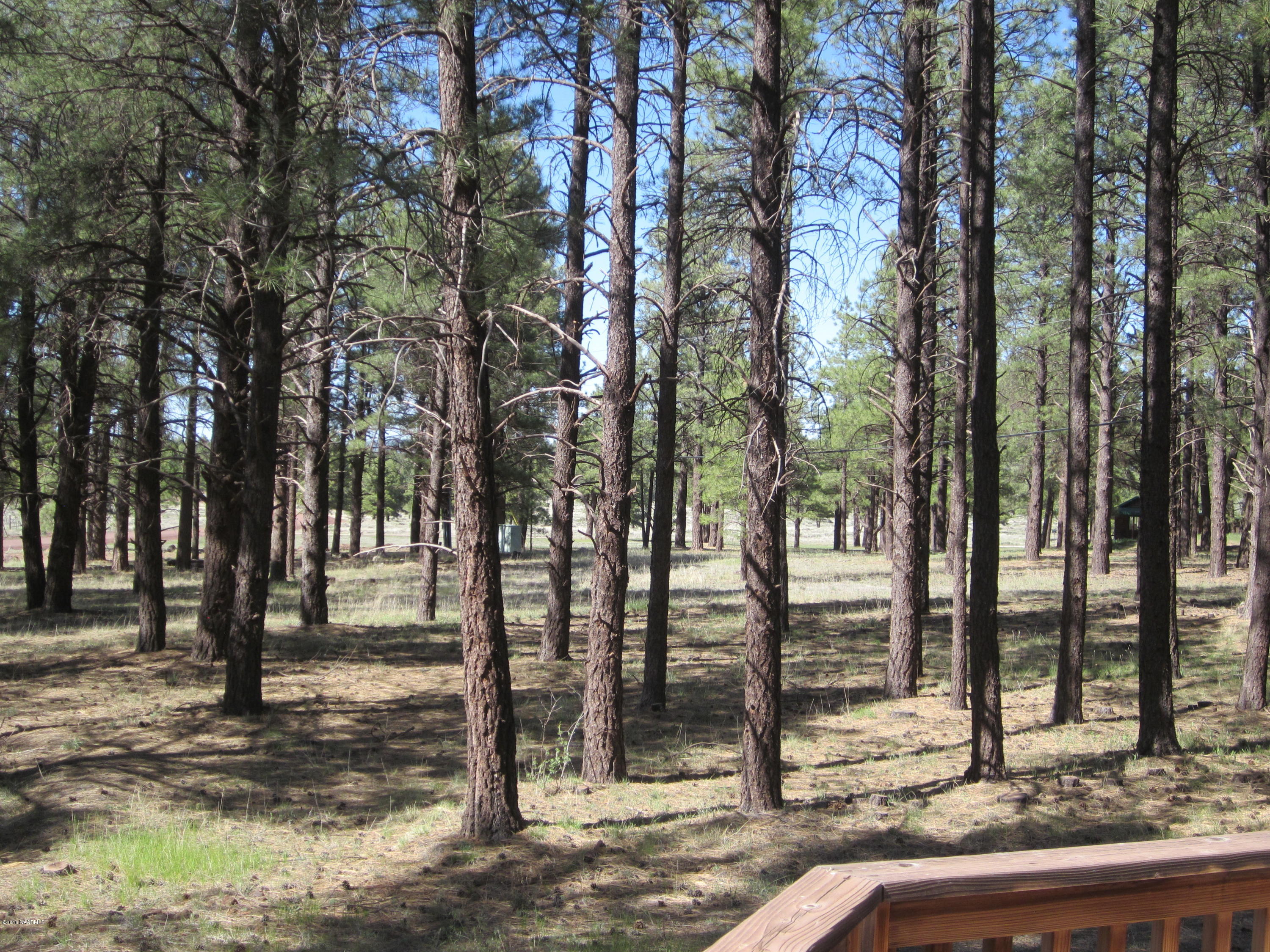 6916 North Spring Valley Road Parks, AZ 86018 - Photo 27 of 29 view4