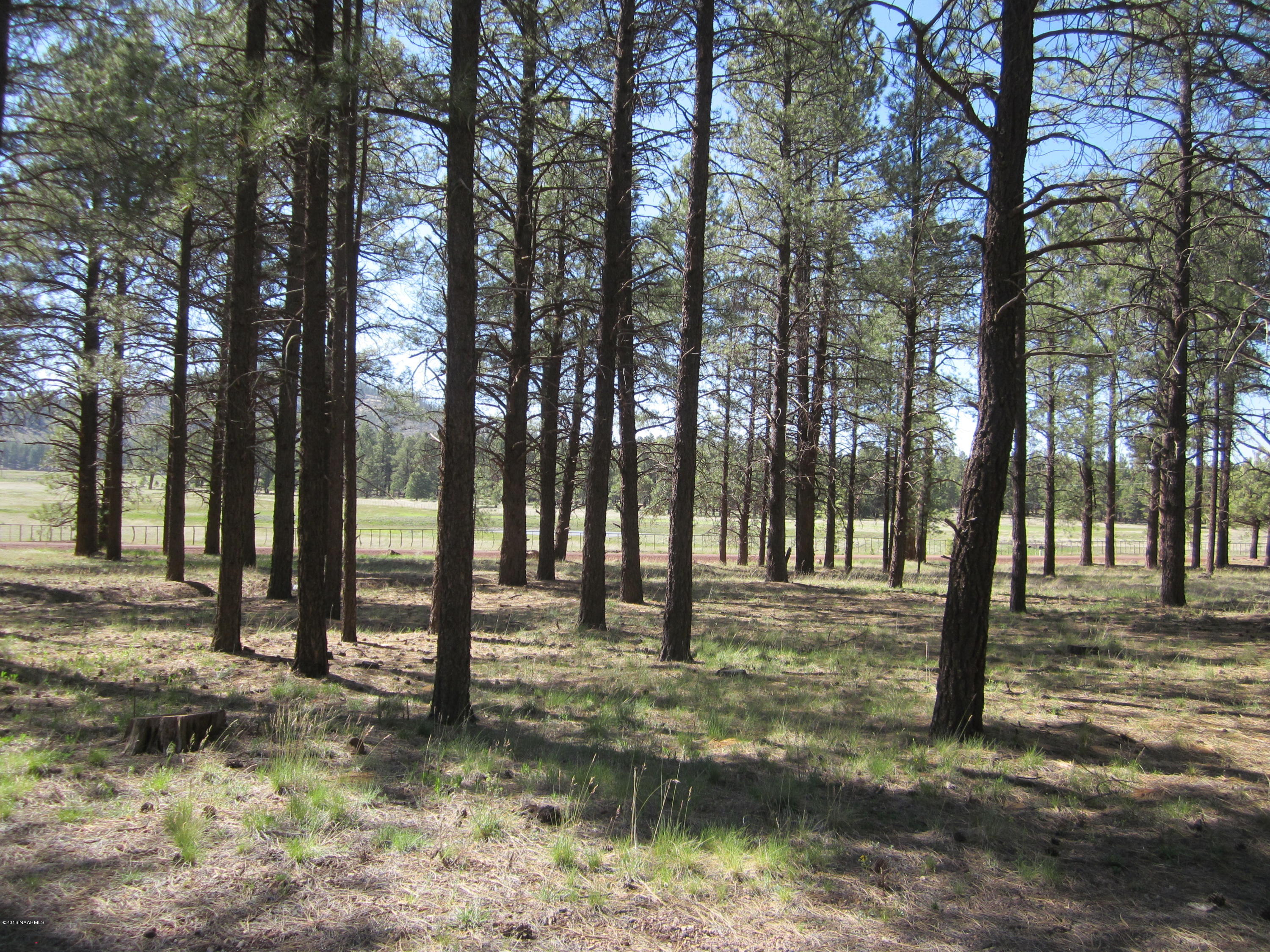 6916 North Spring Valley Road Parks, AZ 86018 - Photo 28 of 29 view1