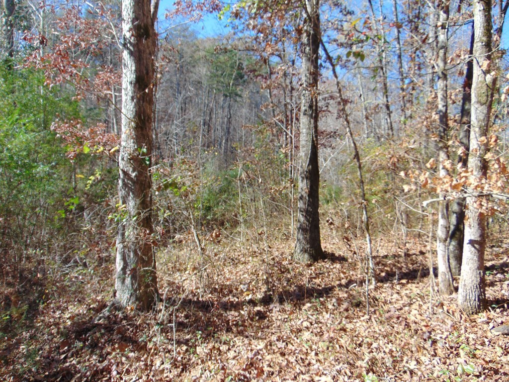463 Co Road Englewood, TN 37329 - Photo 12 of 28
