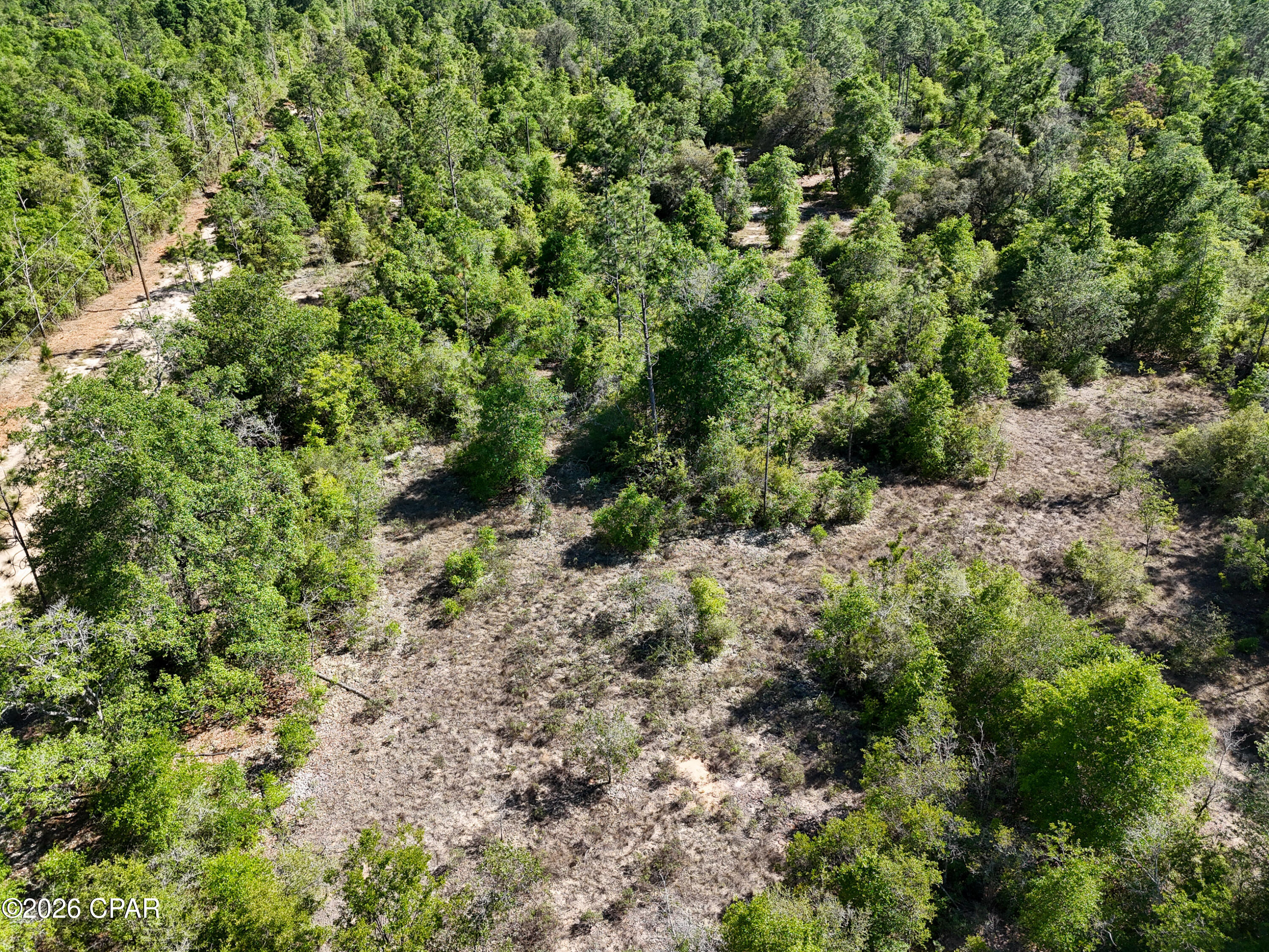 20455 Morrow Road Fountain, FL 32438 - Photo 14 of 23