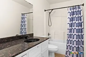 a bathroom with a sink a toilet and shower