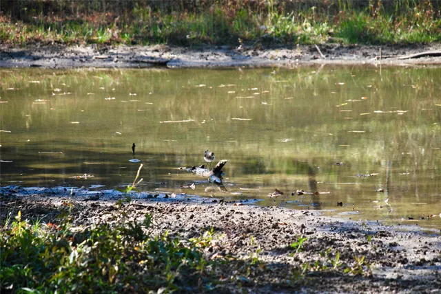 a view of a lake view