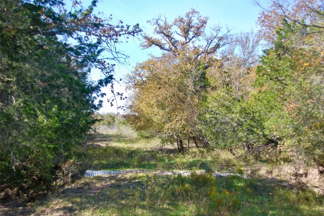 a backyard of a house with lots of green space