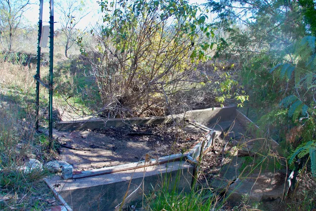 a view of a yard with a tree