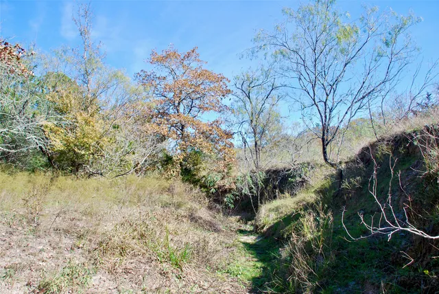 a view of a beach with a mountain view