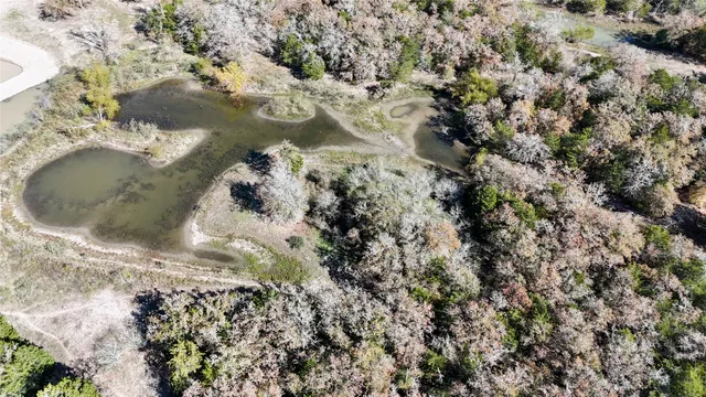 a view of a big yard
