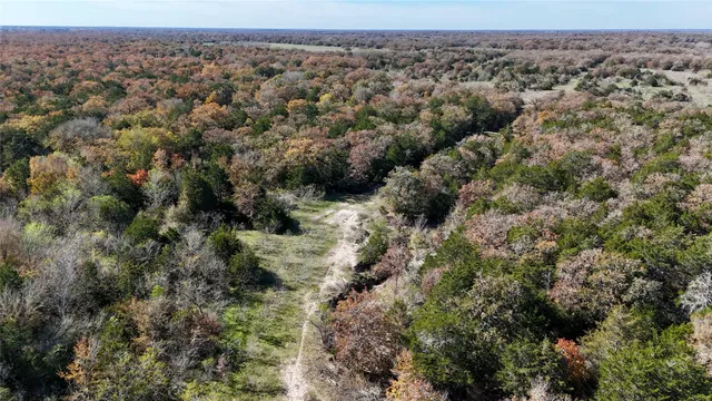 a view of a dry yard with and trees