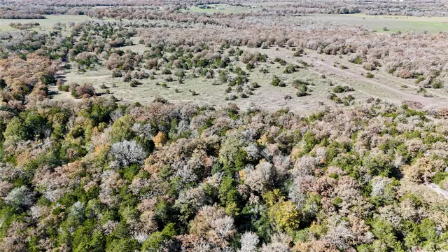 $907,500 | Tbd Herman Lane, Flatonia, TX 78941
