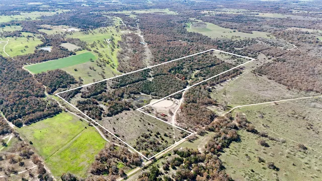 a view of a yard with wooden stairs
