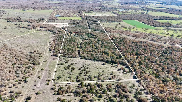a view of mountains and covered with trees