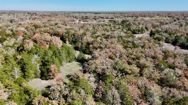 a view of a dry yard with trees