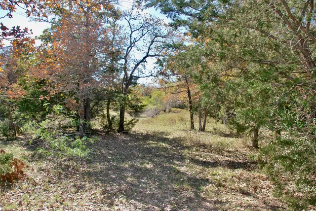 a big yard with lots of green space