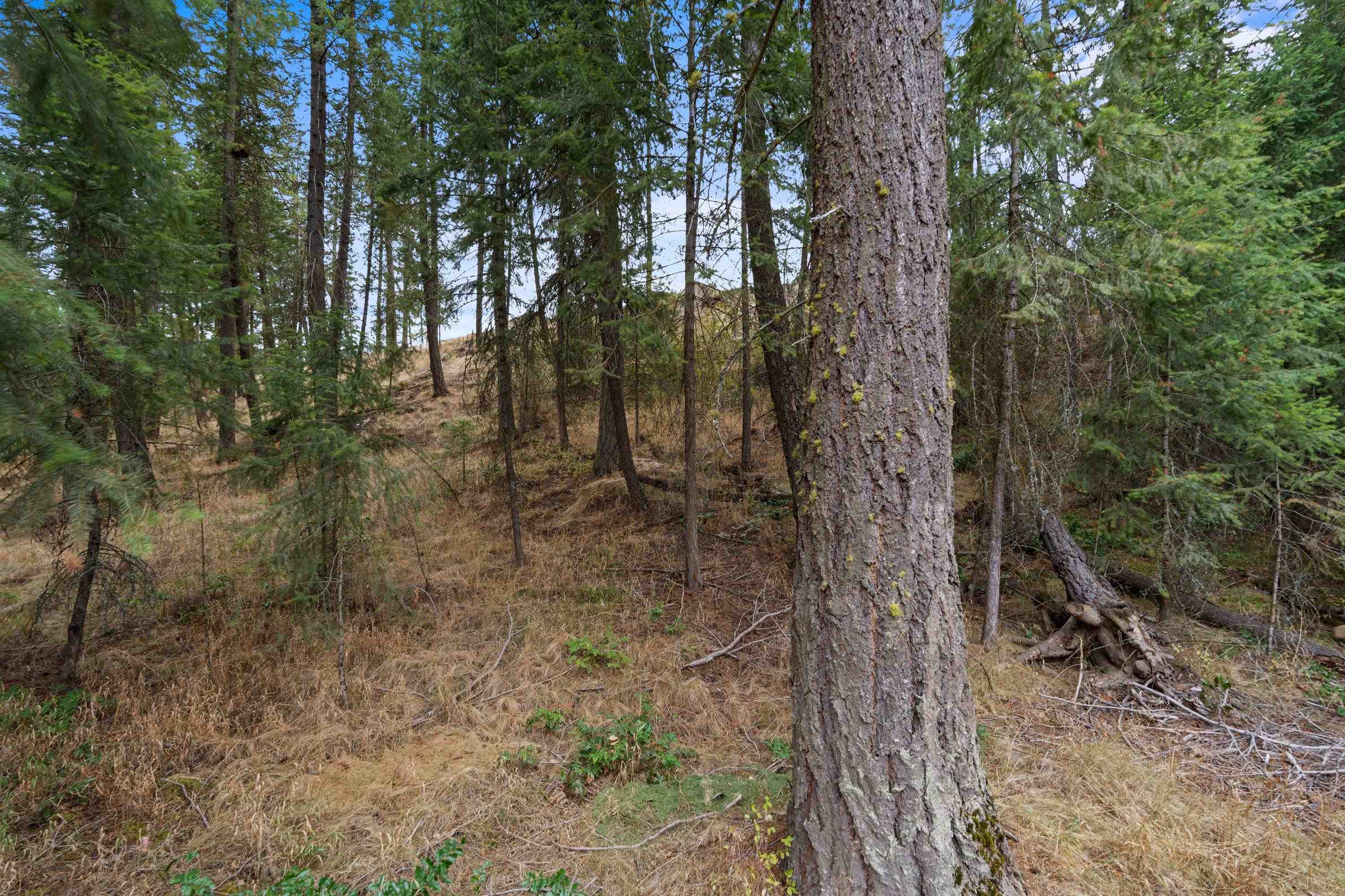 1106 East Silver Pine Road Colbert, WA 99005 - Photo 38 of 38 Gallery Image 38