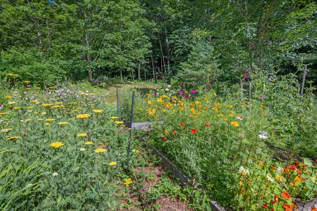 $650,000 | 146 Cold Brook Road, Freedom, NH 03836