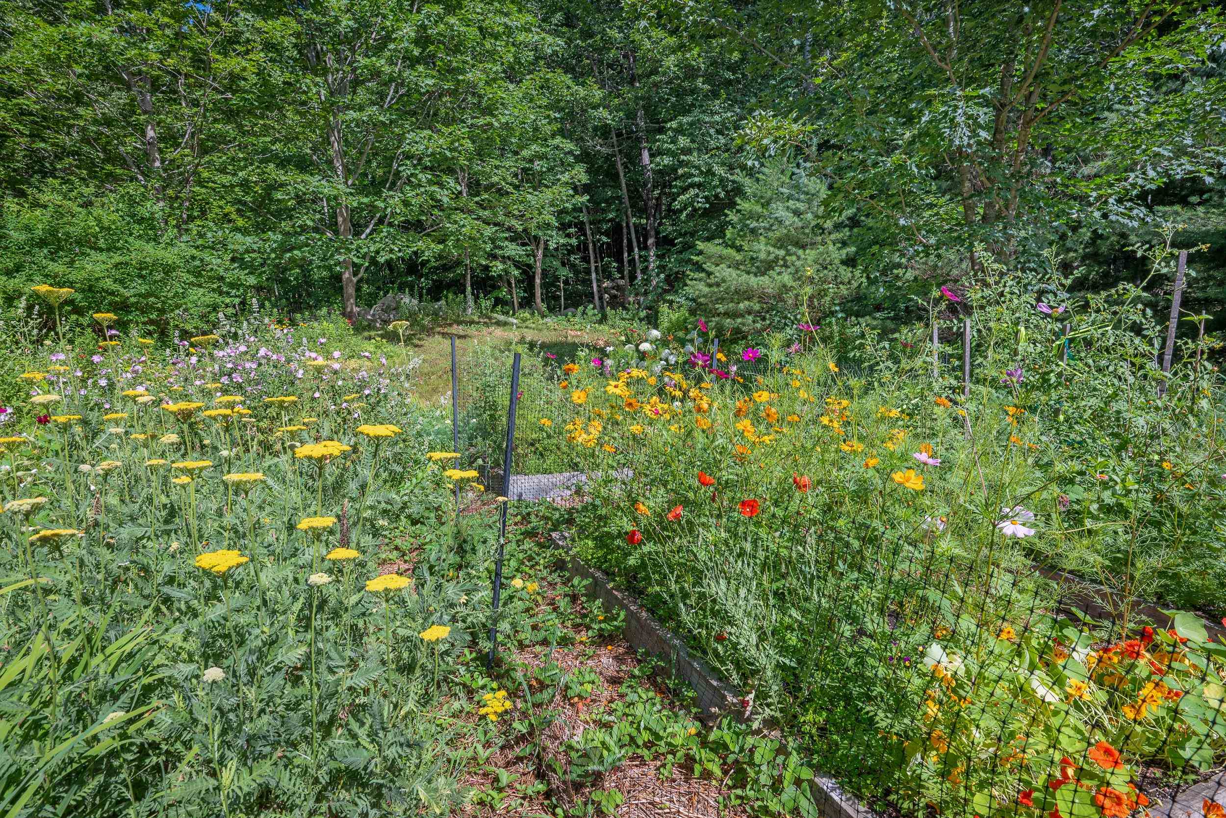 146 Cold Brook Road Freedom, NH 03836 - Photo 51 of 59