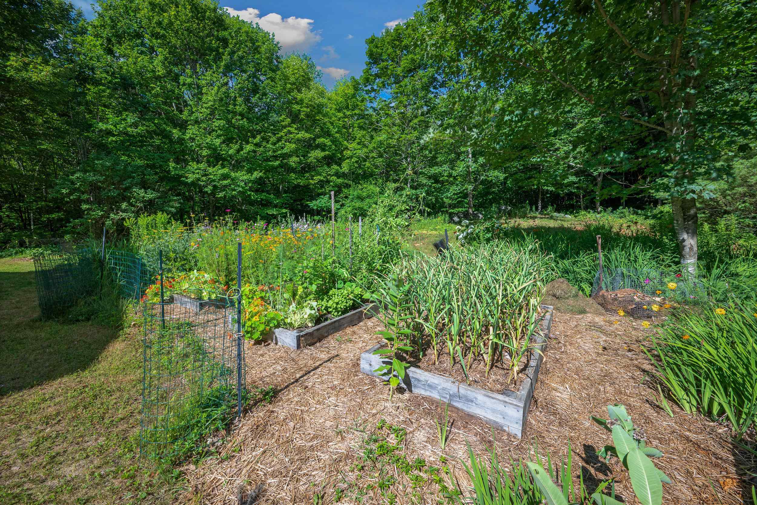 146 Cold Brook Road Freedom, NH 03836 - Photo 52 of 59