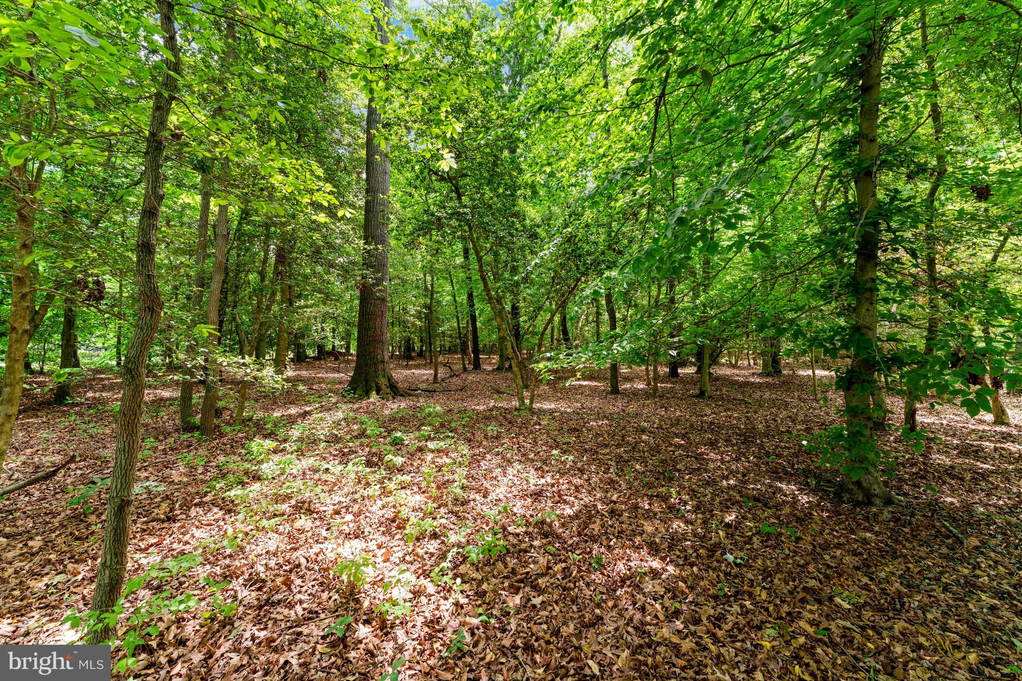 Mcdaniel Road Waldorf, MD 20603 - Photo 16 of 24