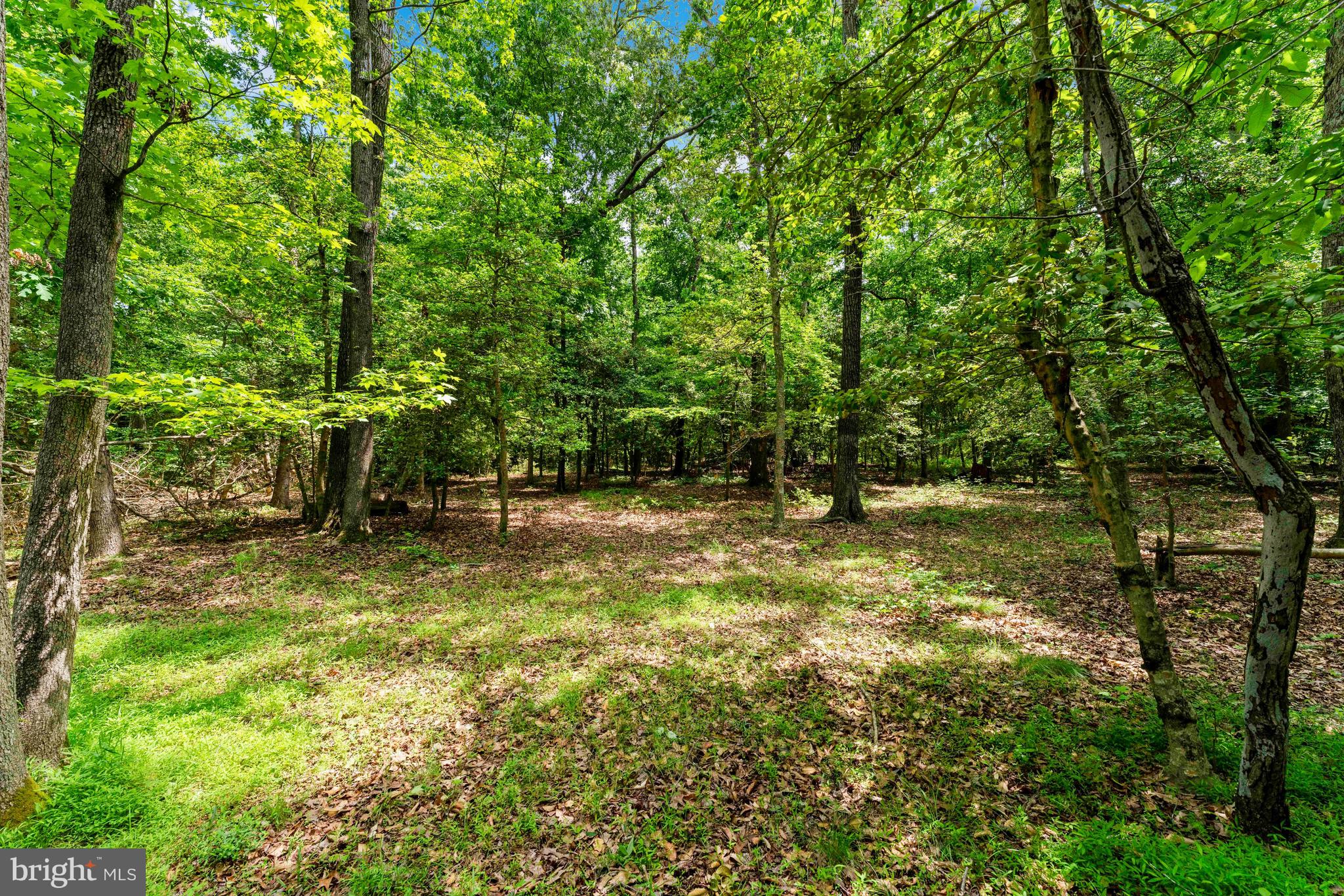 Mcdaniel Road Waldorf, MD 20603 - Photo 17 of 24